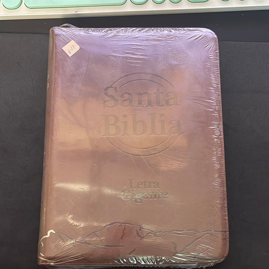 Biblia Letra Gigante   rv1960