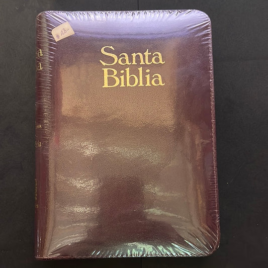 Biblia con Forro  y Concordancia  rv1960