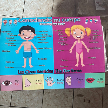 Laminas, Cromos, Posters Educativos